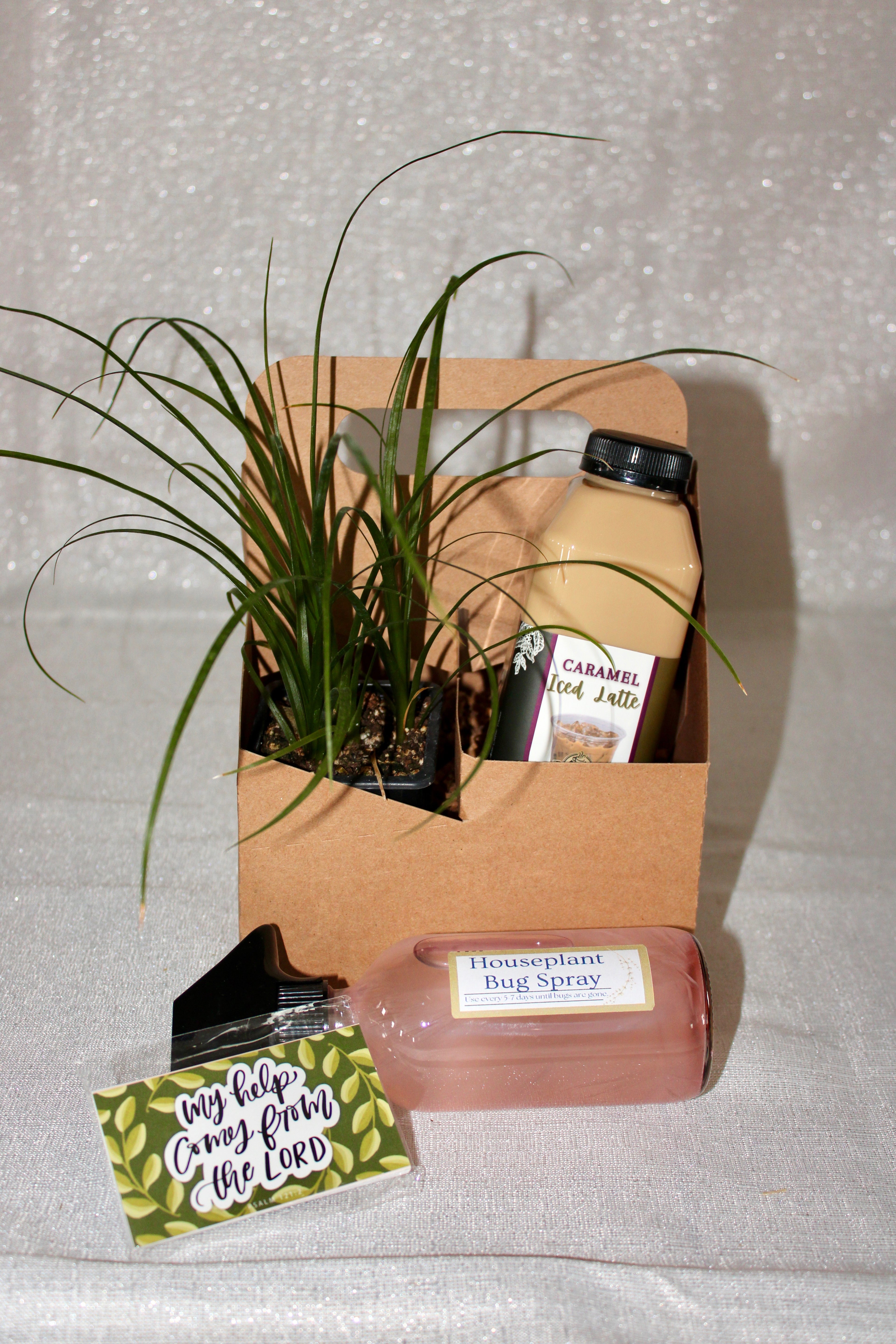 Bloom Gift Basket
