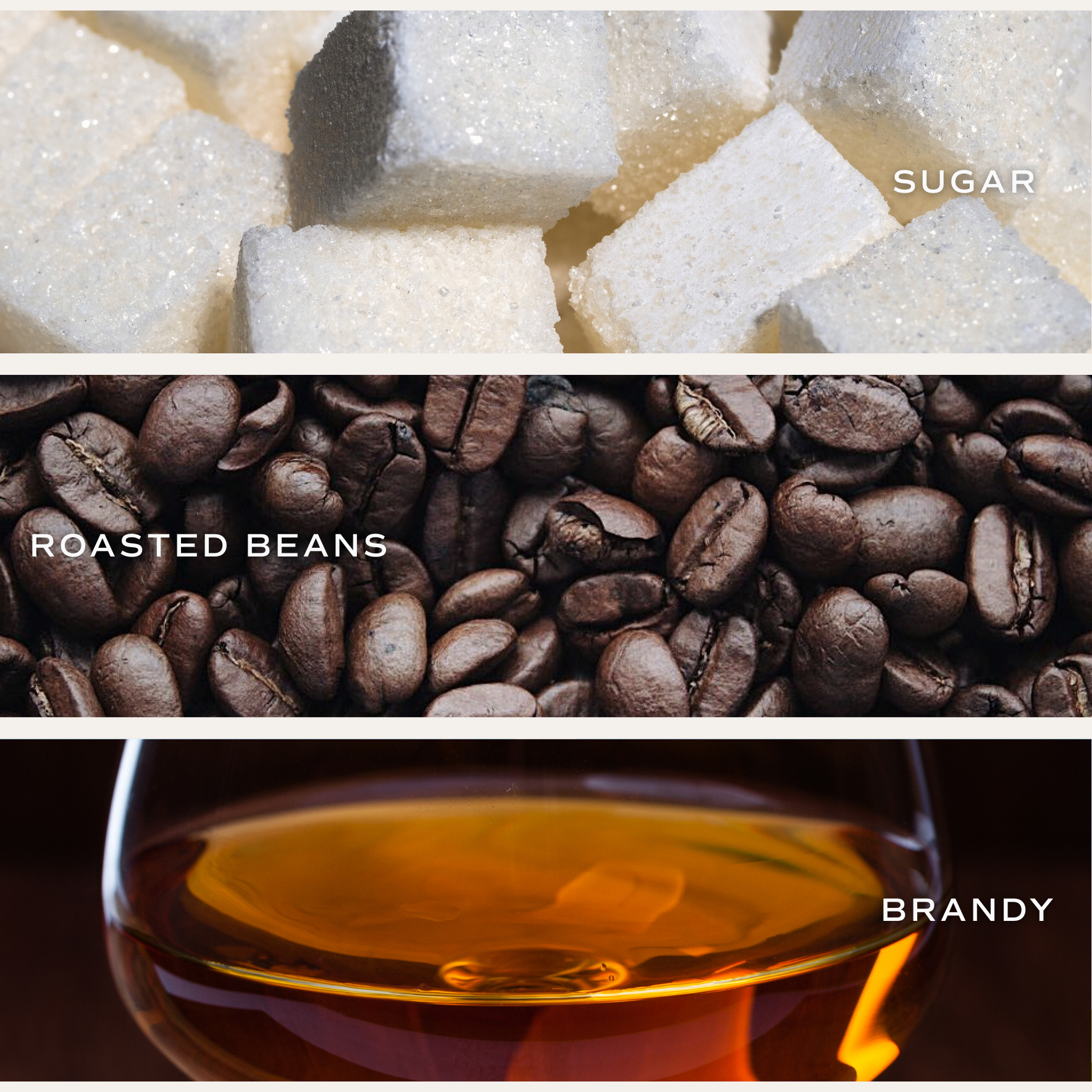 Fresh Coffee 9 oz Soy Candle - Home Decor & Gifts